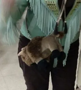 Said buffalo purse!